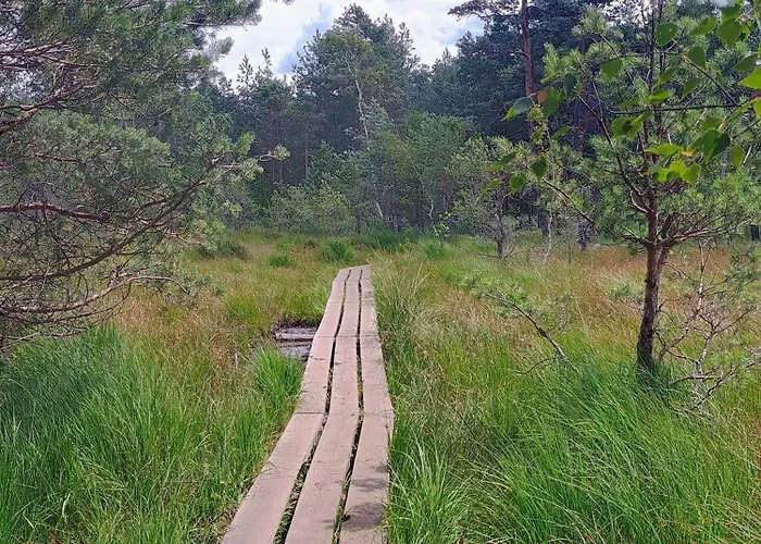 Borůvka U Máchova Jezera - Free Paddleboard Casa vacanze
